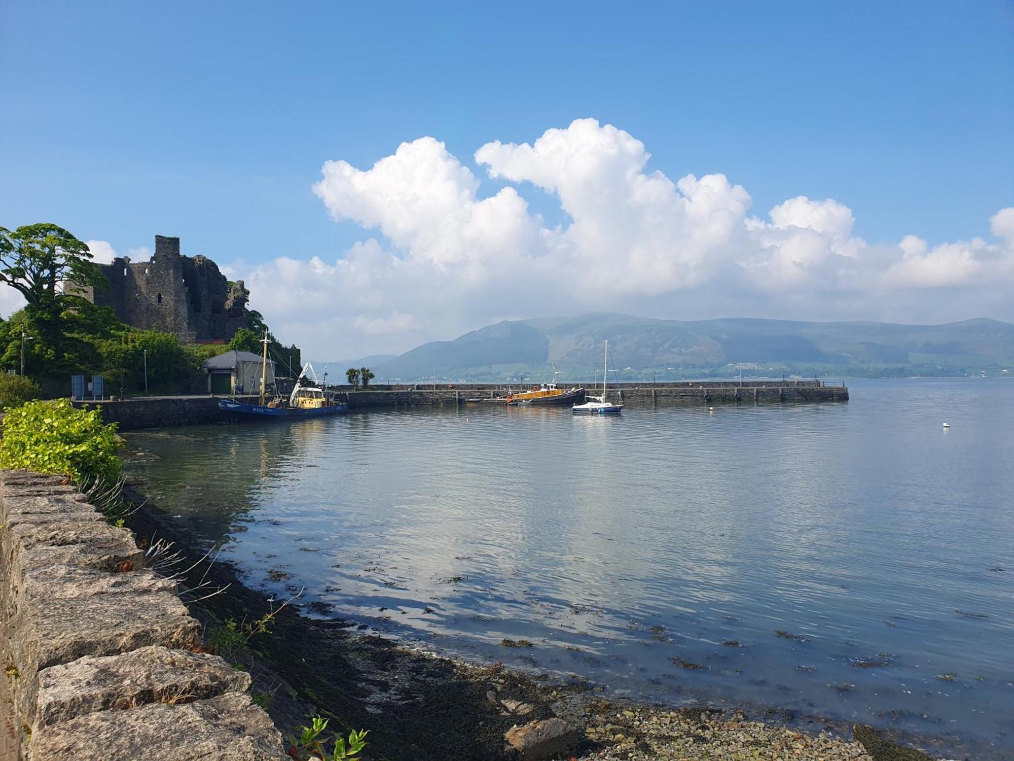 Villa The Retreat Carlingford Exterior foto